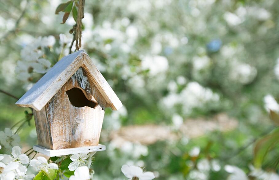 a wooden birdhouse in spring 